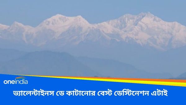 Travel: পাহাড় দেখতে দেখতে কাটবে সকাল থেকে রাত, ভ্যালেন্টাইনস ডে কাটানোর বেস্ট ডেস্টিনেশন এটাই