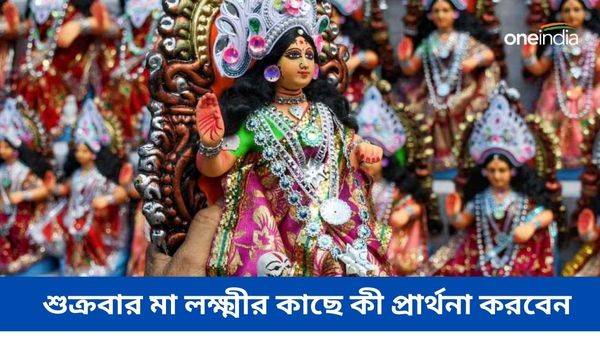 শুক্রবার মা লক্ষ্মীর কাছে কী প্রার্থনা করবেন, জেনে নিয়ে জীবনে ফেরান সমৃদ্ধি, বাড়ুক সুখ-শান্তি