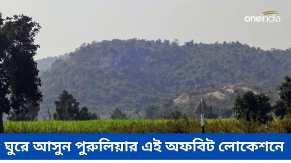 Travel: ঝরনার সঙ্গে টলটলে জলের হ্রদ, ঘুরে আসুন পুরুলিয়ার এই অফবিট লোকেশনে