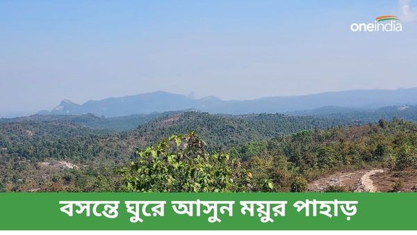 Travel: ফাগুনের আগুন ধরতে শুরু করেছে, বসন্ত উপভোগে কাটিয়ে আসুন এই জায়গায়