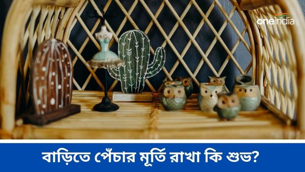 Vastu Tips: বাড়িতে পেঁচার মূর্তি রাখা কি শুভ, নাকি অশুভ? কী বলছে বাস্তুশাস্ত্র
