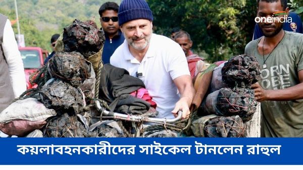 ভারত জোড়ো ন্যায় যাত্রায় সাইকেল চালালেন রাহুল! কয়লা বহনকারী শ্রমিকদের কাছে জানতে চাইলেন, তাঁদের আয় কত ?