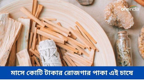 Business Idea: এই গাছ সোনার থেকে কিন্তু কম নয়! মাসে কোটি টাকার রোজগার পাকা এই চাষে