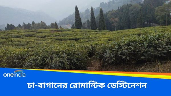 Travel: শিলিগুড়ি থেকে মাত্র ২ ঘণ্টার রাইড, ঘুরে আসুন এই রোমান্টিক ডেস্টিনেশনে