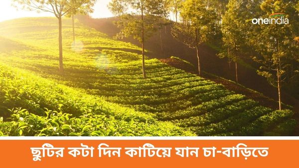 Travel: ভুলে যাবেন দার্জিলিং, একেবারে অফবিট ডেস্টিনেশনে ঘুরে আসুন উত্তরবঙ্গের এই জায়গা