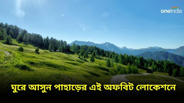 Travel: বসন্তে হিমেল হাওয়ার পরশ পেতে চান, চলে আসুন উত্তরবঙ্গের এই অফবিট লোকেশনে