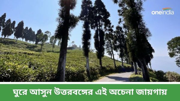 Travel: ড্রয়িং বুকে আঁকা কোনও পাহাড়ি গ্রাম যেন, ঘুরে আসুন উত্তরবঙ্গের এই অচেনা জায়গায়