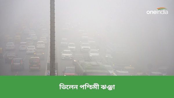 ভিলেন পশ্চিমী ঝঞ্ঝা, বৃষ্টি অনেক জায়গায়! কয়েকটি রাজ্যে ঠান্ডা তুষারপাতের জেরে, জারি হলুদ সতর্কতা