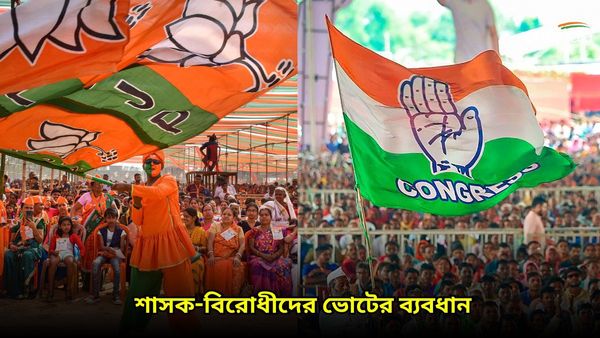 Lok Sabha Election: বিগত চারটি লোকসভা ভোটে কংগ্রেস-বিজেপির ভোটের ব্যবধান কত? জানুন আঞ্চলিক দলগুলির প্রভাব কতটা