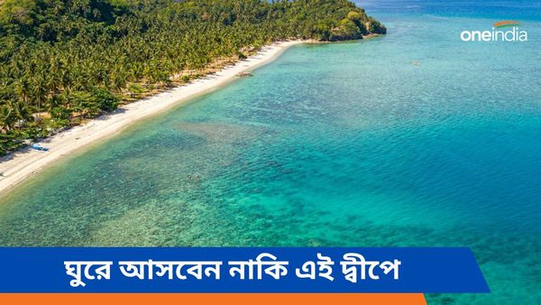 Travel: এখানে বাদুড়দের সঙ্গে বাস করে ৭ মৎস্যজীবী পরিবার, দেখে আসবেন নাকি কলকাতার কাছেই সেই দ্বীপে