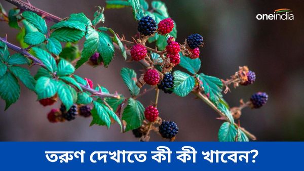 বৃদ্ধ বয়সে তরুণের মতো দেখাতে ভরসা রাখুন এই খাবারগুলিতে
