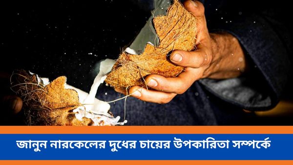 নারকেলের দুধ দিয়ে চা করে আগে খেয়েছেন কখনও, জানুন উপকারিতা, কীভাবে বানাবেন এই চা