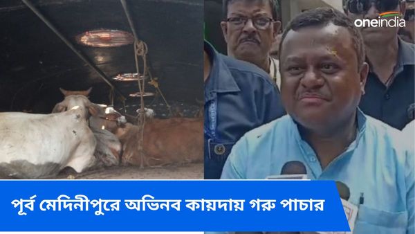 পর্দা ঢাকা বাসের পরে আরও অভিনব কায়দায় গরু পাচার! সৌমেন্দু অধিকারীর নিশানায় অভিষেক বন্দ্যোপাধ্যায়