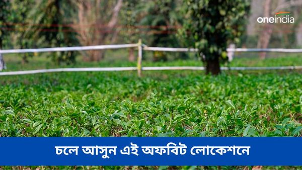 Travel: চা-বাগানের গা বেয়ে বয়ে চলেছে নদী, চলে আসুন চালসার এই অফবিট লোকেশনে