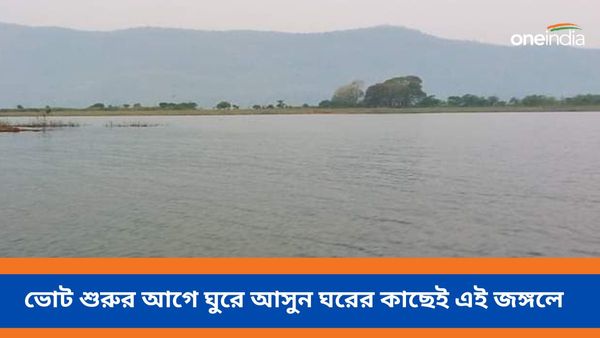 Travel: ভোট বাজারে ছুটি নেই, ঘুরে আসুন কলকাতার কাছেই এই নেচারক্যাম্পে