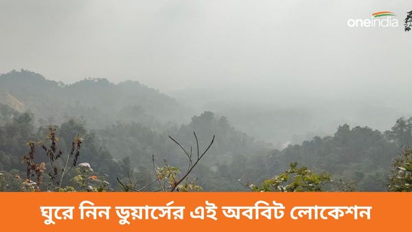 Travel:ডুয়ার্স তো অনেক ঘুরেছেন, কিন্তু পলাশ দেখেছেন কি? চলে আসনু জলদাপাড়ার এই অচেনা লোকেশনে