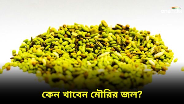 শরীর সুস্থ রাখতে দাওয়াই হিসাবে খেতেই পারেন মৌরির জল, কতটা উপকারী, জানুন বিস্তারিত
