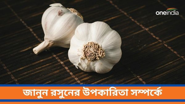 রসুনের খোসা ফেলে দিচ্ছেন, ভুল করছেন না তো! জানুন অবাক করা উপকারিতা সম্পর্কে