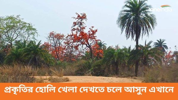 Travel: হোলির রং এখনও যায়নি, সেই রঙে আবারও পলাশের রং মিশিয়ে নিয়ে চলে আসুন কলকাতার কাছে এই জায়গায়