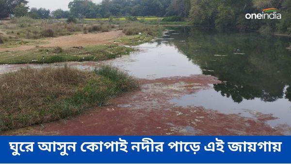 Travel: দোল খেলতে শান্তিনিকেতনে অনেকেই গিয়েছেন, ঘুরে আসুন কোপাই নদীর পাড়ে এই জায়গায়