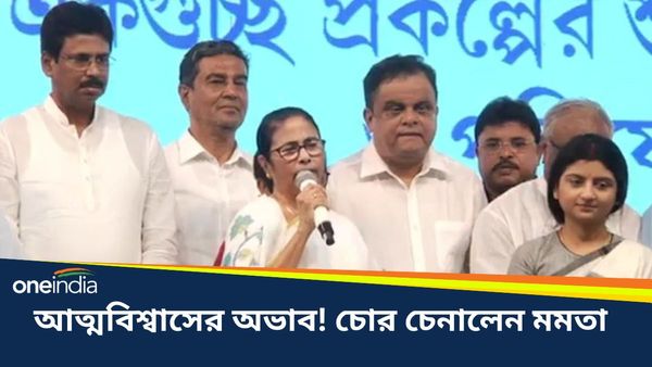 যদি কোনও দিন সুযোগ আসে! লোকসভা ভোটের আগে কনফিডেন্স কমছে মমতার, চেনালেন তৃণমূলের চোরদের