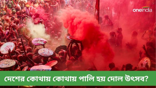 দোলে দেশের কোন কোন জায়গায় পর্যটককের ভিড় উপচে পড়ে, শীর্ষস্থানে রয়েছে কোন স্থানগুলি