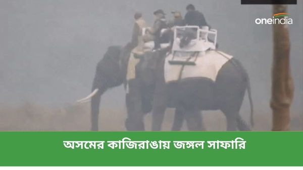অসমের কাজিরাঙায় জঙ্গল সাফারি! জিপে ও হাতির পিঠে চড়লেন PM মোদী, দেখুন ভিডিও