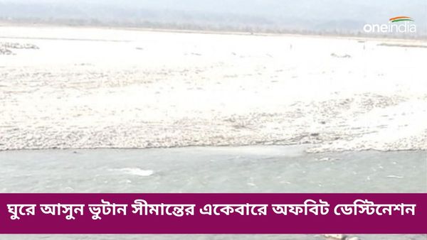 Travel: জলদাপাড়ার জঙ্গল পেরিয়ে চলে গিয়েছে রাস্তা, ঘুরে আসুন ভুটান সীমান্তের একেবারে অফবিট ডেস্টিনেশন 