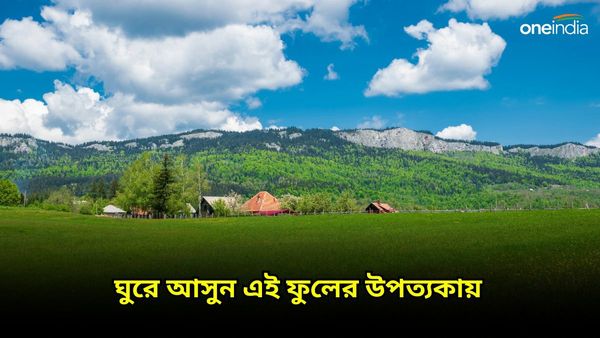 Travel: বসন্তের রং লেগেছে পাহাড়েও, ঘুরে আসুন ঘরের কাছের এই ফুলের উপত্যকায়