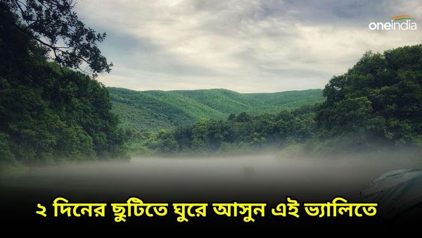 Travel: ছোট্ট ছুটিতে কোথাও কাছেপিঠে যেতে চাইছেন, ঘুরে আসুন এই অচেনা লোকেশনে