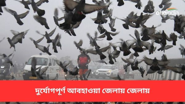 তাপমাত্রা হ্রাসের মধ্যে ১৭ জেলায় দমকা হাওয়া-বৃষ্টির পূর্বাভাস! কেমন থাকবে বাংলার বাকি অংশ, একনজরে আবহাওয়া