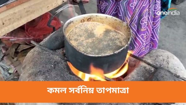 কমল সর্বনিম্ন তাপমাত্রা! বেলা বাড়তেই কি গরম? কেমন থাকতে চলেছে বুধবার সারাদিন, একনজরে বাংলার আবহাওয়া