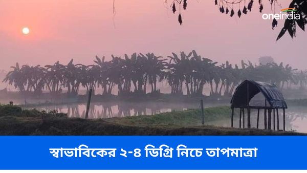 ভোরে শিরশিরানি হাওয়া, স্বাভাবিকের ২-৪ ডিগ্রি নিচে তাপমাত্রা! একনজরে বাংলার জেলাগুলির আবহাওয়া