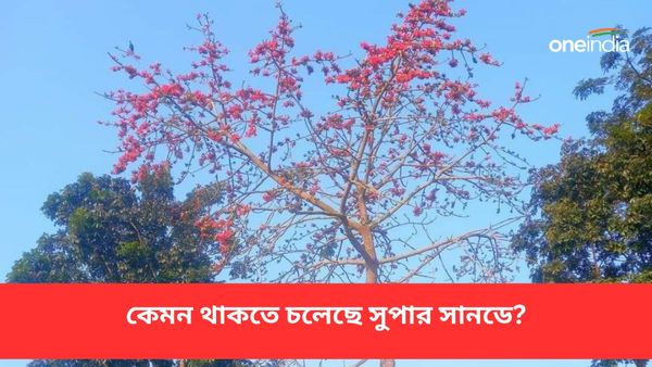তৃণমূলের ব্রিগেড ও বিজেপির সন্দেশখালিতে সভার দিন কেমন থাকতে চলেছে আবহাওয়া? একনজরে বাংলার জেলাগুলির পূর্বাভাস