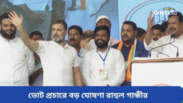 Lok Sabha Election: ক্ষমতায় এলে আর্থিক সমীক্ষা করবে কংগ্রেস, ভোট প্রচারে বড় ঘোষণা রাহুল গান্ধীর