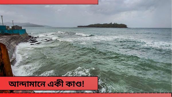Lok Sabha Election: গত ১৫ বছরে কখনও এমন হয়নি! আন্দামান জুড়ে হৈহৈ, কারণ খুঁজছে প্রশাসন