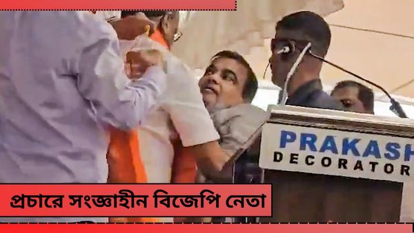 Nitin Gadkari: গড়কড়ির আরোগ্য কামনা করে সাত দফা নির্বাচনের কথা স্মরণ করালেন মমতা! জানেন কী লিখলেন?