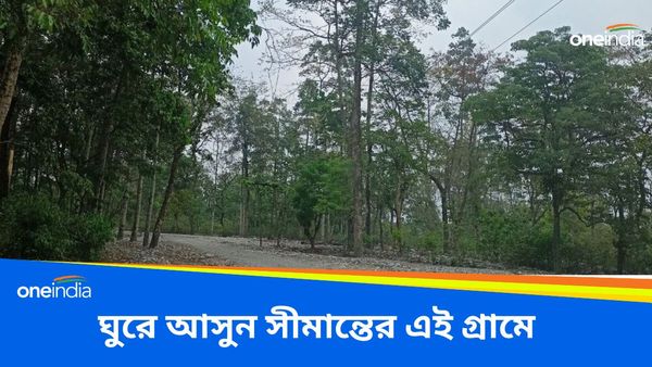 Travel: ডুয়ার্সের জঙ্গল তো অনেক ঘুরেছেন, এবার থেকে আসুন এই অফবিট লোকেশনে