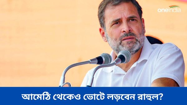 প্রধানমন্ত্রী 'দুর্নীতির চ্যাম্পিয়ন', বিজেপি ১৫০ আসনও পাবে না, দাবি রাহুল গান্ধীর