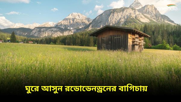 Travel: এর কাছে হারমানে কাশ্মীরের টিউলিপ বাগানও, গরমের ছুটিতে ঘুরে আসুন ঘরের কাছের এই ফুলের উপত্যকায়