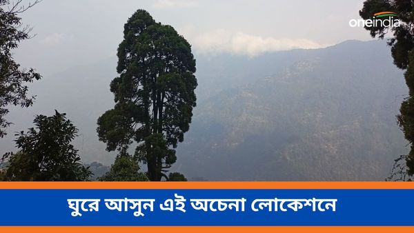Travel: দার্জিলিং তো অনেকবার গিয়েছেন, ঘুরে আসুন এই অচেনা লোকেশনে 