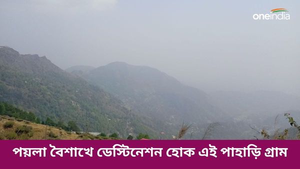 Travel: ফুলে ঢাকা পাহাড়ি উপত্যকায় হিমেল পরশে কাটিয়ে আসুন কটা দিন, ঘুরে আসুন উত্তরবঙ্গের এই অচেনা ডেস্টিনেশনে