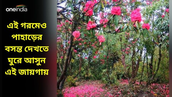 Travel: জানেন কি পাহাড়ে এখন ফাগুন, ফুলে ফুলে ভরা উপত্যকার সৌন্দর্য উপভোগ করতে চলে আসুন এখানে