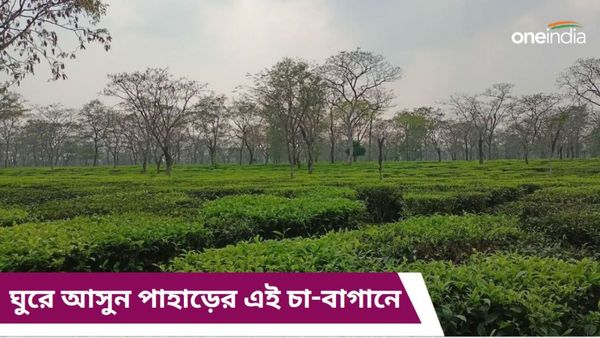 Travel: ব্রিটিশ আমলের বাংলো বাড়ি আর সামনে বিস্তৃত চা-বাগান, পাহাড়ের এই নতুন লোকেশনে কাটিয়ে আসুন কটাদিন