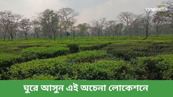 Travel: নদীর জলে হুটোপুটি করে স্নান, গরমের ছুটিতে ঘুরে আসুন এরকমই একটি জায়গায়