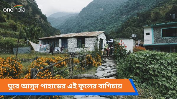  Travel: ফুলে ফুলে ভরে থাকে পথ-ঘাট-বাড়ি-ঘর, গরমের ছুটির ঠিকানা হোক এই ফুলের পাহাড়ি গ্রাম