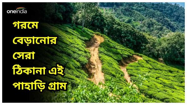 Travel: ভাবছেন পাহাড়ে একটা সামার স্টে তৈরি করবেন, ঘুরে আসুন এই পাহাড়ি গ্রামে