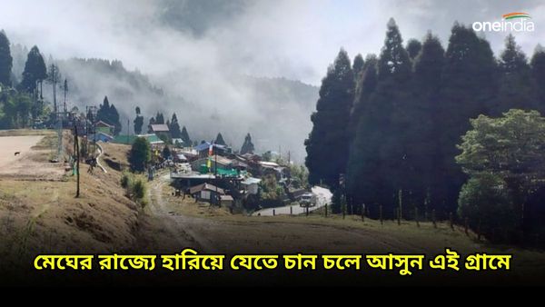  Travel: পাইনের জঙ্গলে হারিয়ে যাবে মন, ঘুরে আসুন অমনই এক মেঘের গ্রাম থেকে