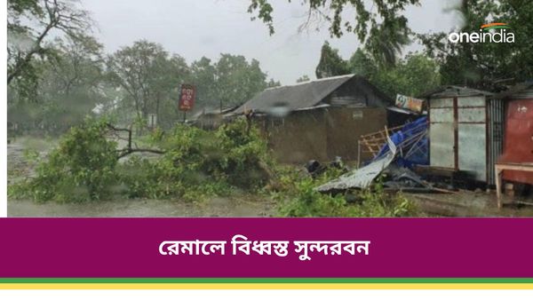 Cyclone Remal: আয়লা থেকে আমফান হয়ে রেমাল, বাঁধভাঙা-ঘরছাড়া, সুন্দরবন রয়ে গিয়েছে সেই জায়গাতেই