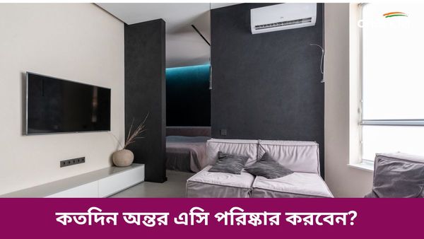 এসি থেকে বের হচ্ছে না ঠান্ডা হাওয়া, কতদিন অন্তর এসির ফিল্টার পরিষ্কার করতে হয়, জানেন 
